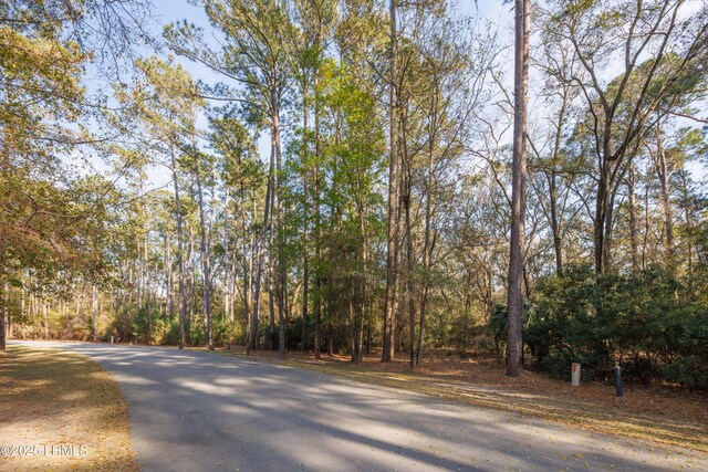 14 Vista Blvd W, Saint Helena Island, SC 29920 - photo 4