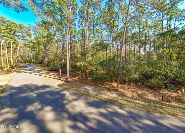 14 Vista Blvd W, Saint Helena Island, SC 29920 - photo 13