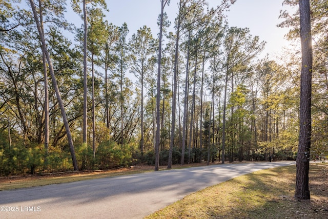 14 Vista Blvd W, Saint Helena Island, SC 29920 - photo 3