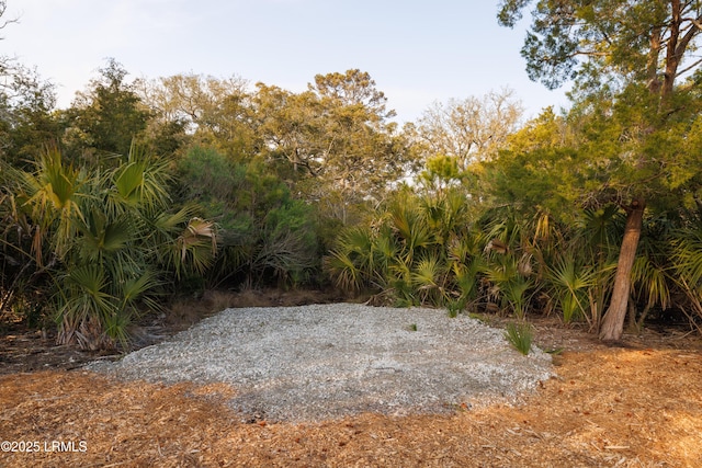 14 Vista Blvd W, Saint Helena Island, SC 29920 - photo 22