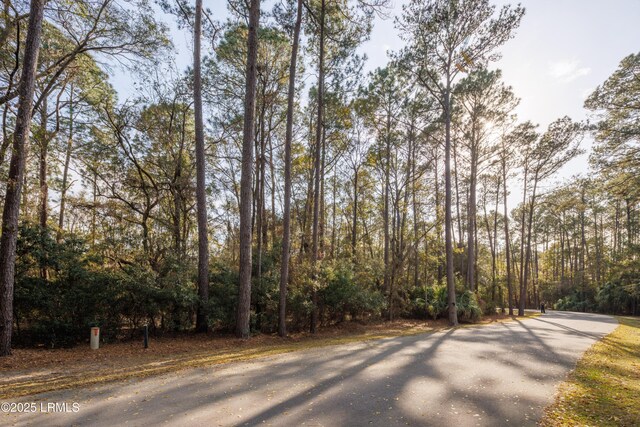 14 Vista Blvd W, Saint Helena Island, SC 29920 - photo 18