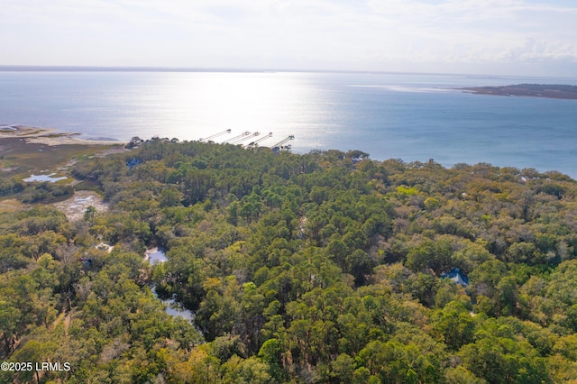 14 Vista Blvd W, Saint Helena Island, SC 29920 - photo 17