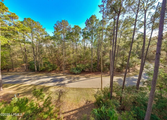 14 Vista Blvd W, Saint Helena Island, SC 29920 - photo 14