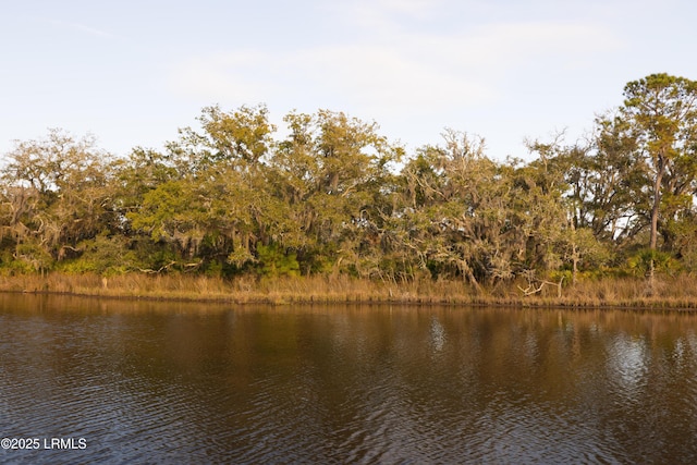 14 Vista Blvd W, Saint Helena Island, SC 29920 - photo 24