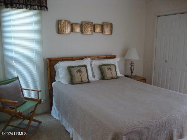 bedroom featuring carpet and a closet