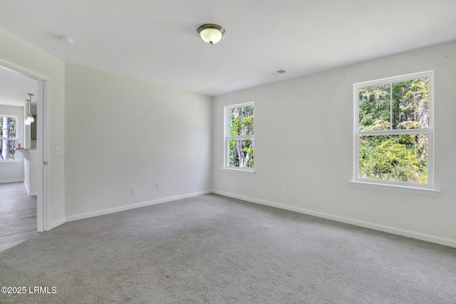 carpeted spare room featuring baseboards and a wealth of natural light