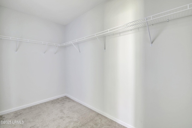 walk in closet with carpet