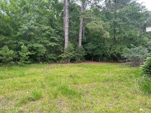 202 Sharon Ave, Hampton, SC 29924 - photo 9