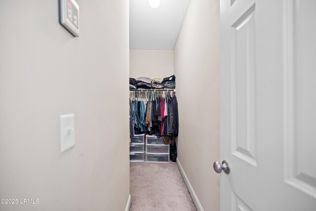 377 Dante Cir, Beaufort, SC 29906 - photo 13