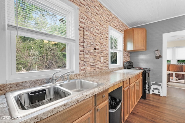 123 Moore St, Walterboro, SC 29488 - kitchen with black range with electric stovetop, healthy amount of natural light, dark wood-style floors, and light countertops
