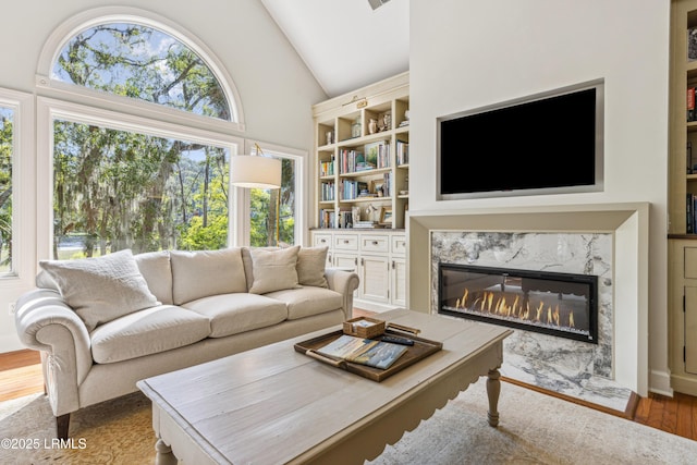 8 Chechessee Cir, Okatie, SC 29909 - living area featuring wood finished floors, high vaulted ceiling, a fireplace, and built in features