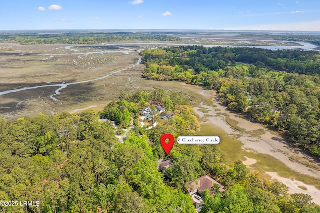 8 Chechessee Cir, Okatie, SC 29909 - birds eye view of property with a view of trees