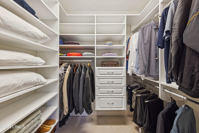 8 Chechessee Cir, Okatie, SC 29909 - view of walk in closet