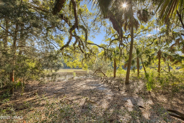 8 Chechessee Cir, Okatie, SC 29909 - view of landscape with a view of trees