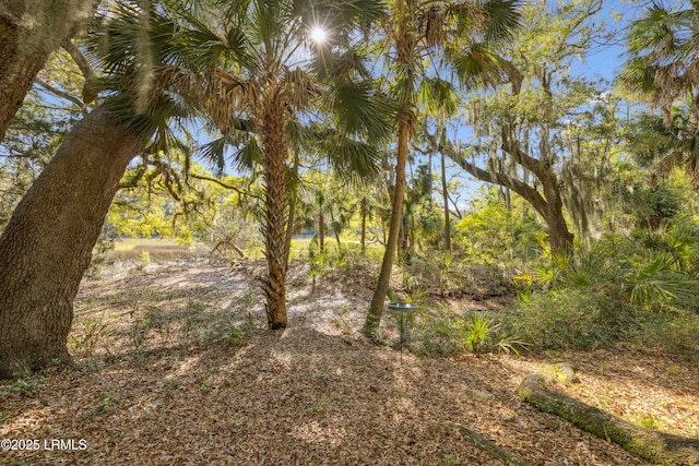 8 Chechessee Cir, Okatie, SC 29909 - view of nature