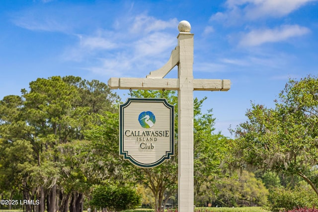 8 Chechessee Cir, Okatie, SC 29909 - photo 67