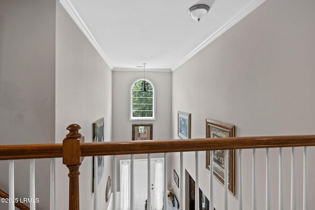 176 Pickett Mill Blvd, Bluffton, SC 29909 - staircase featuring crown molding