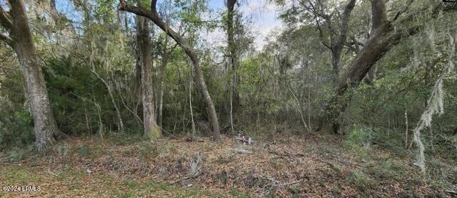 161 Carolina Cswy, Saint Helena Island, SC 29920 - photo 4