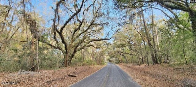 161 Carolina Cswy, Saint Helena Island, SC 29920 - photo 5