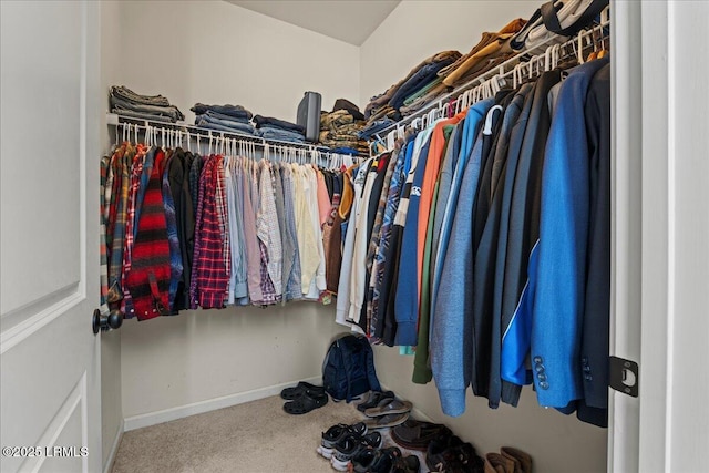 walk in closet with carpet floors