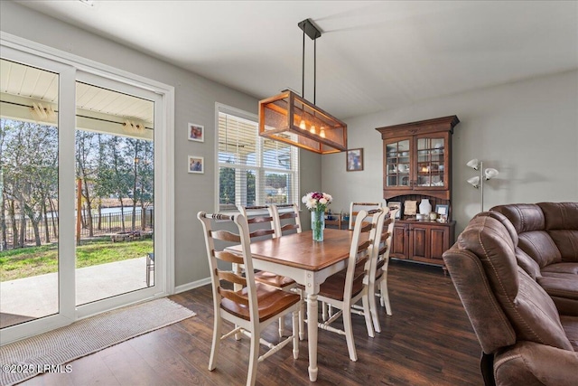 dining space featuring dark hardwood / wood-style flooring