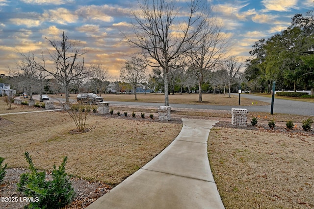 view of yard at dusk