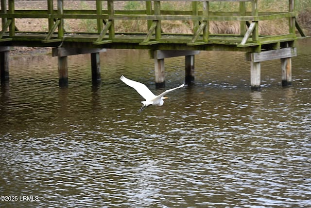 view of dock with a water view