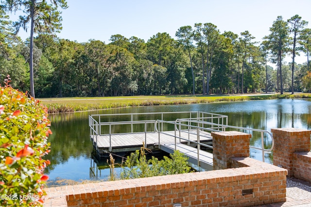 dock area featuring a water view