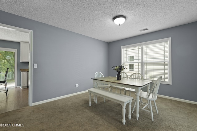 93 Heartstone Cir, Bluffton, SC 29910 - carpeted dining area with healthy amount of natural light, a textured ceiling, and baseboards