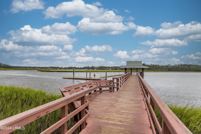 dock area with a water view