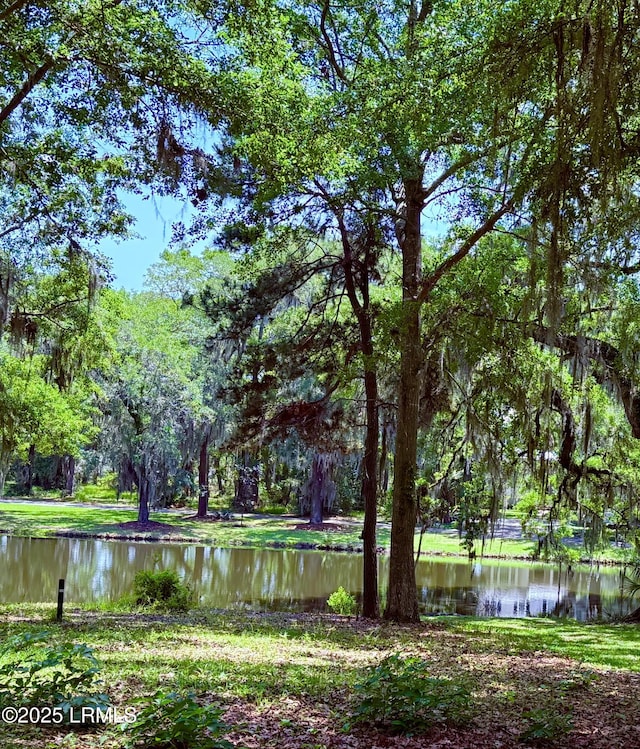 30 Oak Pond Psge, Beaufort, SC 29906 - photo 1