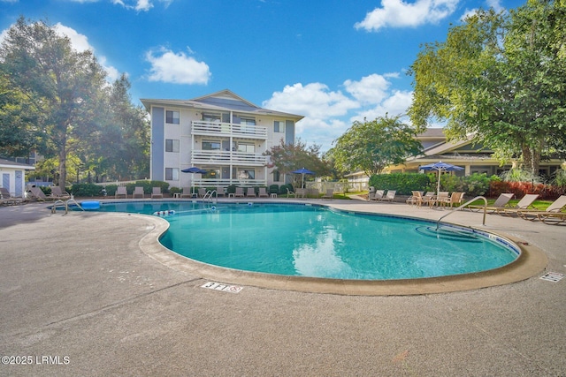 view of swimming pool with a patio area