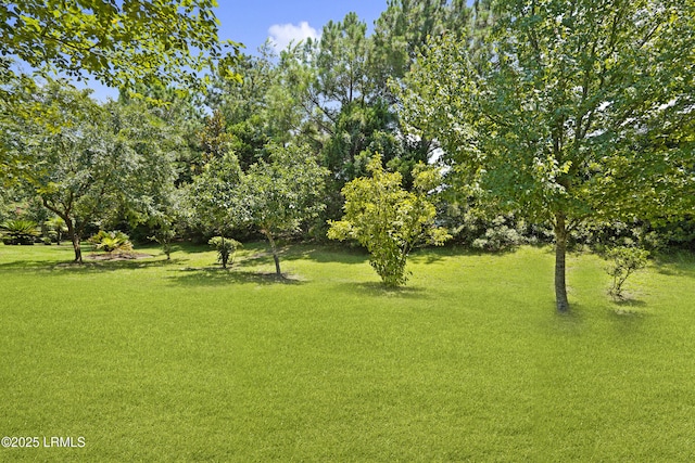 7 Vespers Way, Okatie, SC 29909 - photo 63