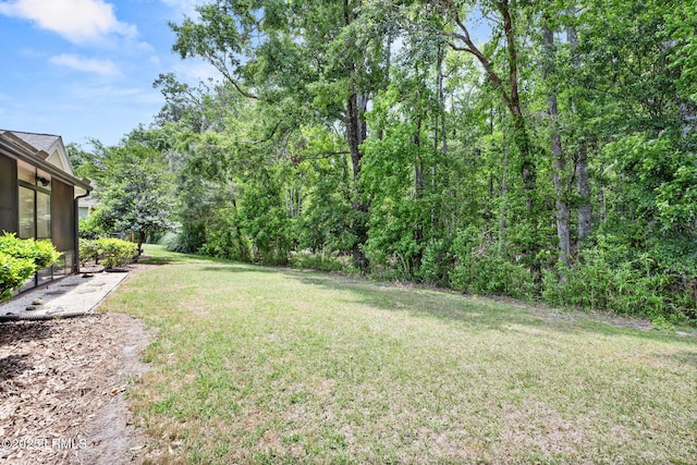 346 Landing Ln, Bluffton, SC 29909 - view of yard