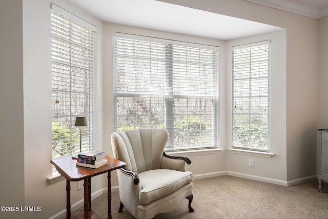 sitting room with baseboards, carpet, and crown molding