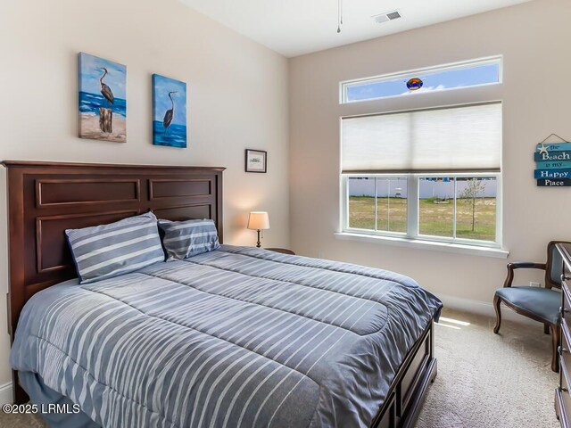 1872 Hearthstone Lake Dr, Ridgeland, SC 29936 - bedroom featuring carpet floors, multiple windows, and baseboards
