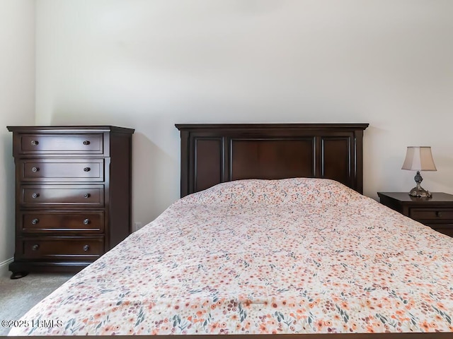 1872 Hearthstone Lake Dr, Ridgeland, SC 29936 - view of carpeted bedroom