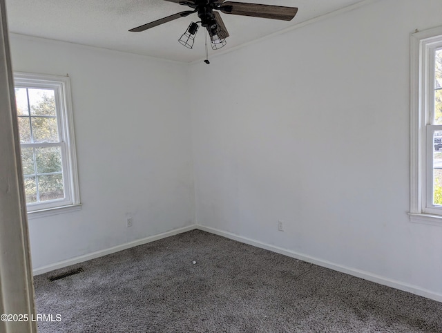 carpeted spare room with ceiling fan