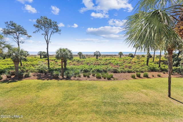 21 S Forest Beach Dr Unit 210, Hilton Head Island, SC 29928 - view of green lawn