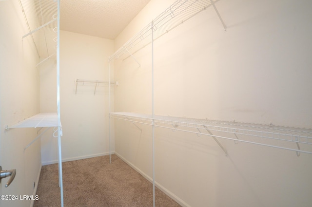 spacious closet featuring carpet floors