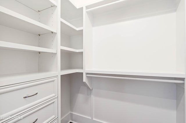 view of spacious closet