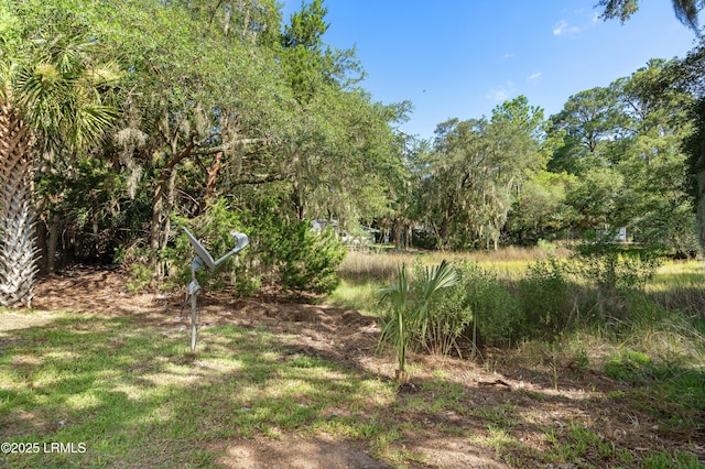 2919 Waters Edge Ct W, Beaufort, SC 29902 - photo 33