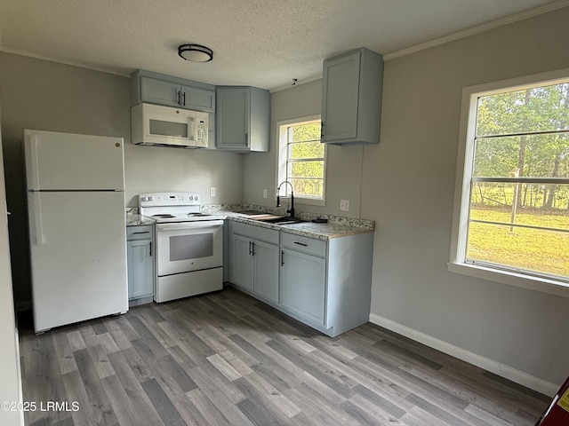 147 Kaye Dr, Estill, SC 29918 - photo 10