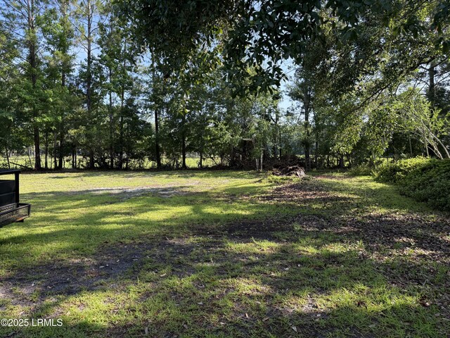147 Kaye Dr, Estill, SC 29918 - photo 15
