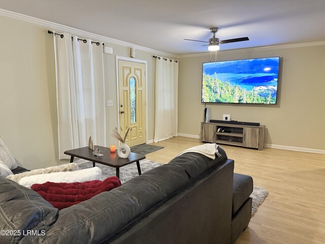 801 Elm St E, Hampton, SC 29924 - photo 2