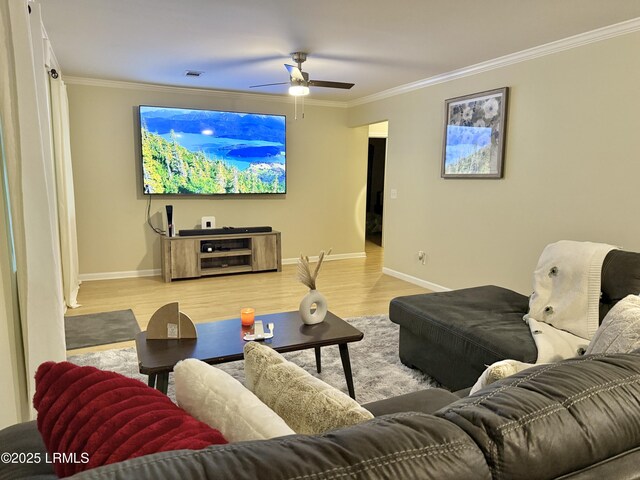 801 Elm St E, Hampton, SC 29924 - photo 4