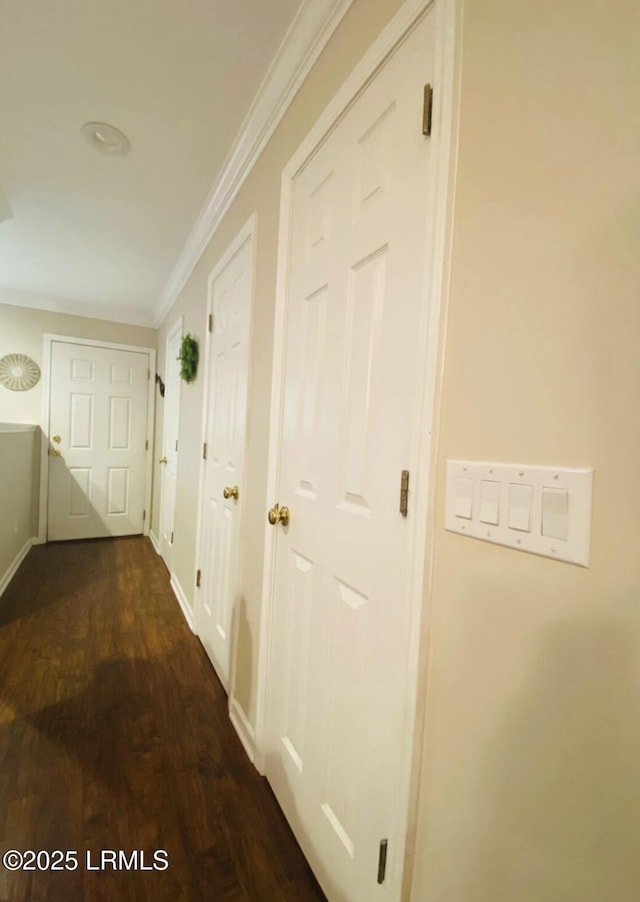 107 S St, Bluffton, SC 29910 - corridor with dark wood-style flooring and crown molding