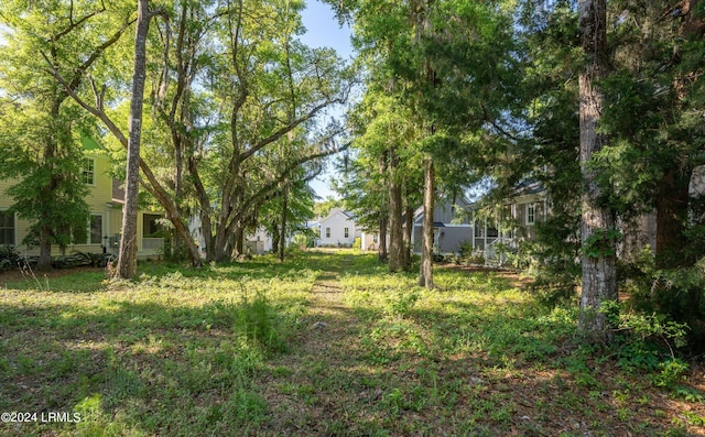 Listing photo 3 for 32 Sweet Olive Dr, Beaufort SC 29907