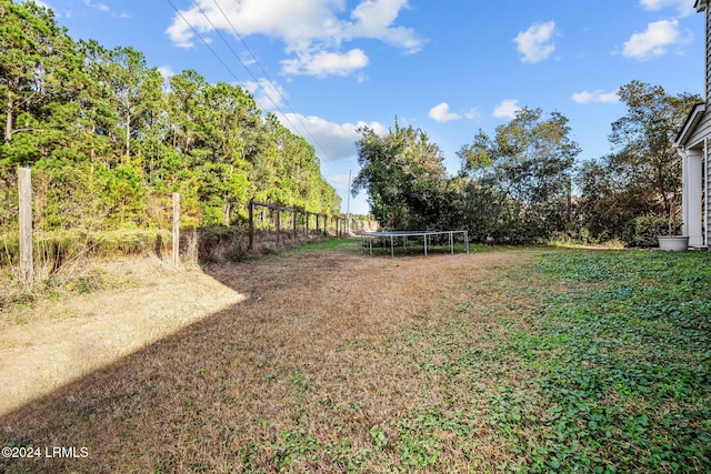 view of yard featuring a trampoline