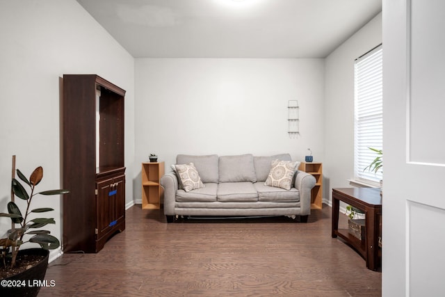 living room with dark wood-type flooring